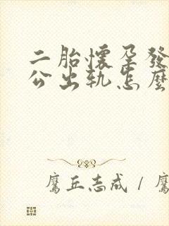 二胎怀孕发现老公出轨怎么办