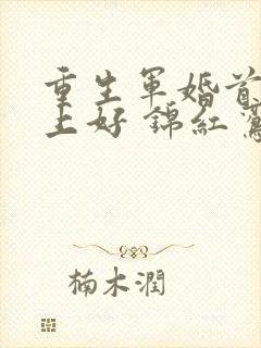 重生军婚首长早上好 锦红鸾