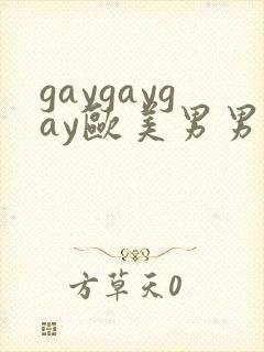 gaygaygay欧美男男