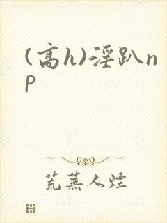 (高h)淫趴np
