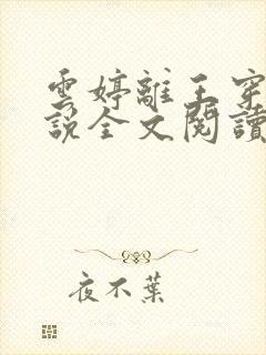 云婷离王穿越小说全文阅读