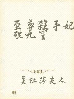 至尊杀手妃:凤破九霄