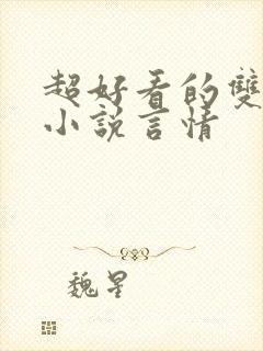 超好看的双男主小说言情