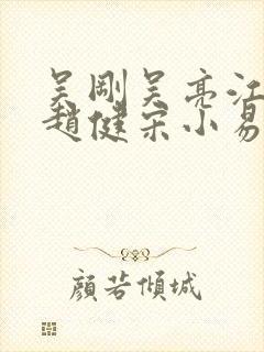 吴刚吴亮江晓萍赵健宋小易傲雪小说封面