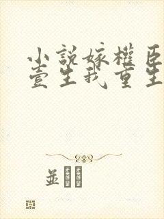 小说嫁权臣守寡壹生我重生改嫁了李长澈在