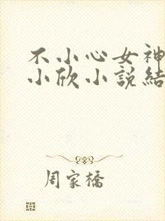 不小心女神女友小欣小说结局