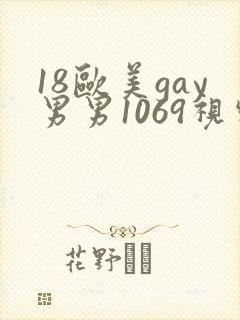 18欧美gay男男1069视频