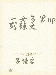 一女多男np系列辣文