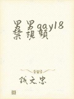 男男gay18禁视频