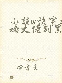 小说w快穿之病娇大佬别黑化》