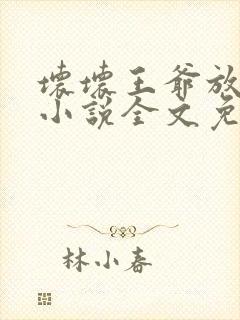 坏坏王爷放肆爱小说全文免费阅读