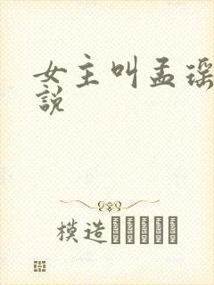 女主叫孟瑶的小说