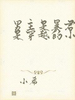 男主是暴君女主是穿越的小说