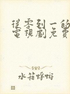 从零到一的爱情电视剧免费观看全集