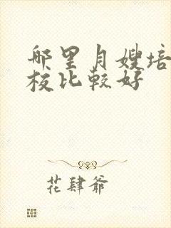 哪里月嫂培训学校比较好