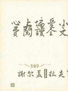 心上偏爱小说免费阅读全文封面