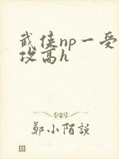 武侠np一受多攻高h