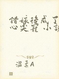 错嫁后成了总裁心尖宠 小说