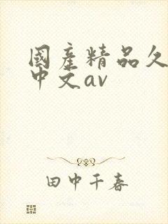 国产精品久久久中文av