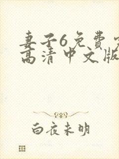 妻子6免费完整高清中文版,电视剧封面