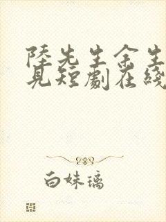 陆先生余生不再见短剧在线观看