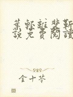 叶轻离裴靳墨小说免费阅读无弹窗封面