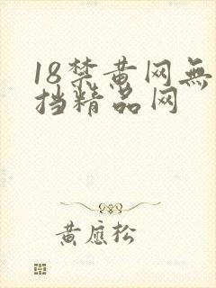18禁黄网无遮挡精品网