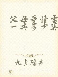 父母爱情电视剧一共多少集