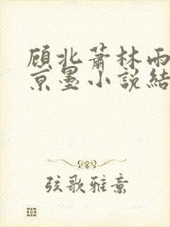 顾北萧林雨菲谢京墨小说结局