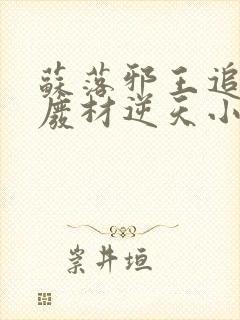 苏落邪王追妻:废材逆天小姐字数