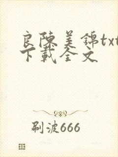 良陈美锦txt下载全文封面