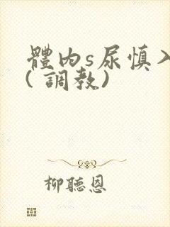 体内s尿慎入h( 调教)