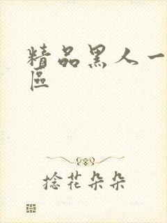 精品黑人一区二区封面
