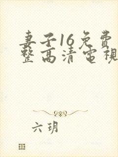 妻子16免费完整高清电视剧看封面