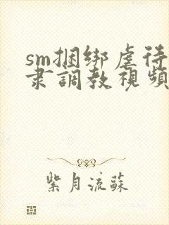 sm捆绑虐待奴隶调教视频