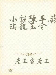 小说陈平,苏雨琪龙王令