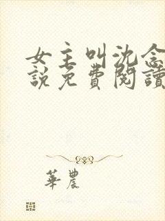 女主叫沈念的小说免费阅读全文