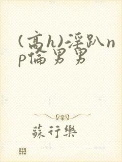 (高h)淫趴np伦男男