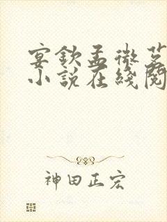 宴钦孟微茗完结小说在线阅读