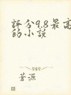 评分9.8最高的小说