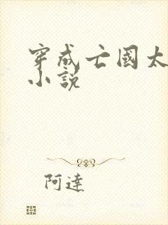 穿成亡国太子妃小说封面