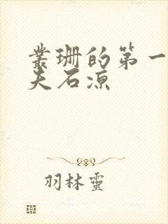 丛珊的第一任丈夫石凉封面