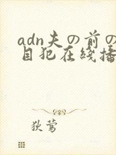 adn夫の前の目犯在线播放