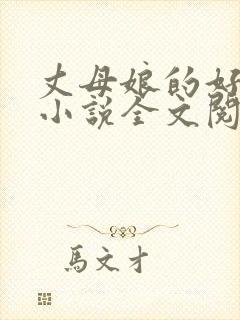 丈母娘的好女婿小说全文阅读