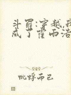 斗罗:穿越,我成了霍雨浩 懒很狠封面