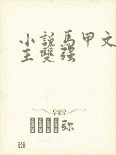 小说马甲文男女主双强封面