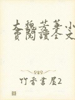 大魏芳华小说免费阅读全文封面