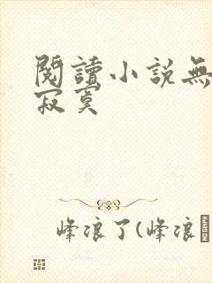 阅读小说无敌真寂寞