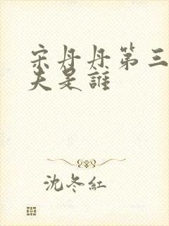 宋丹丹第三任丈夫是谁