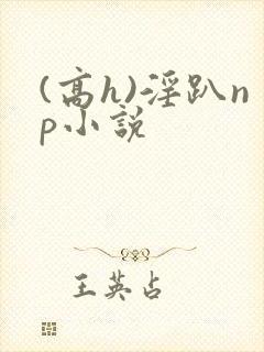 (高h)淫趴np小说
